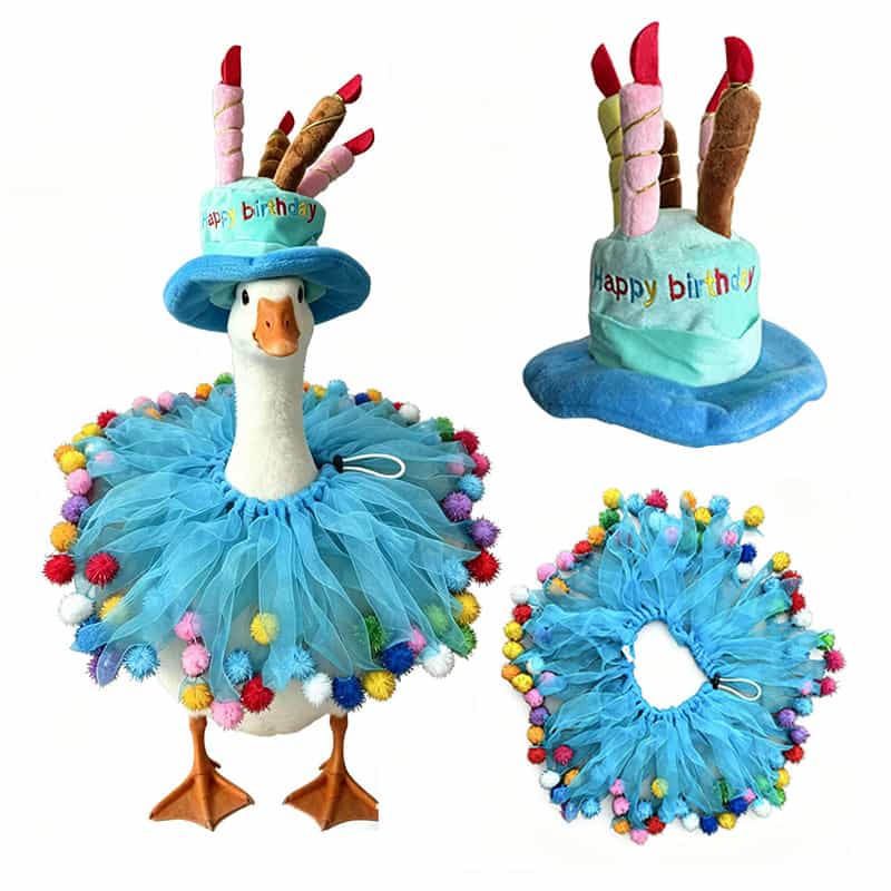 Pet Goose Birthday Hat and Scarf Decor Set