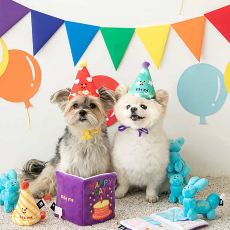 Dog Birthday Party Hat, Red Love Cloth Pet Party Accessory