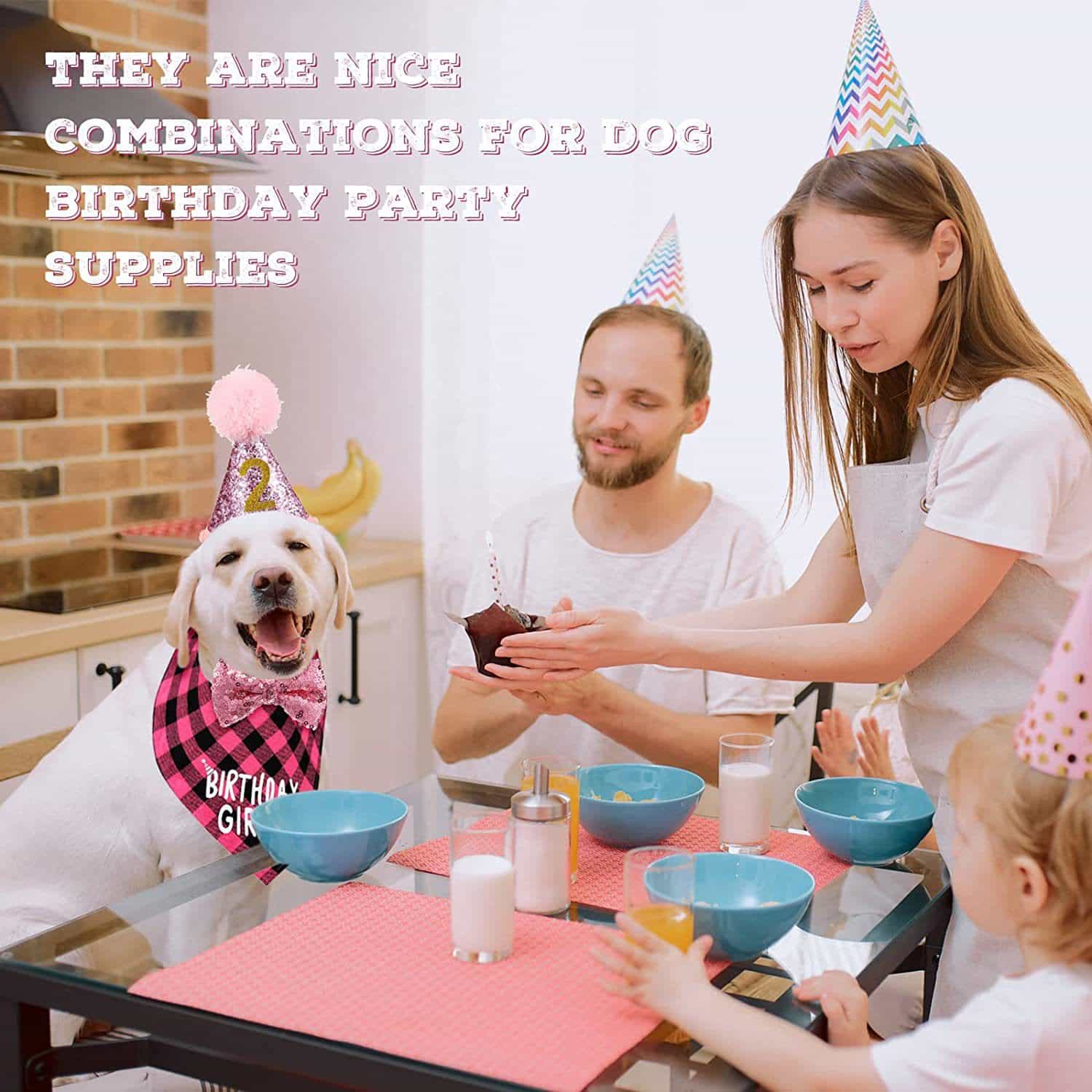 Pet Birthday Party Set: Scarf, Hat, Banner and Number Flags
